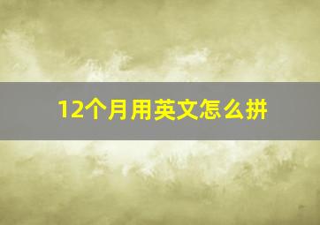 12个月用英文怎么拼