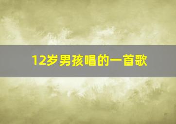 12岁男孩唱的一首歌