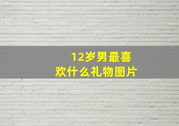 12岁男最喜欢什么礼物图片