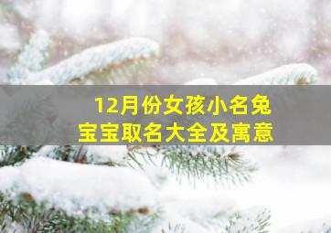 12月份女孩小名兔宝宝取名大全及寓意