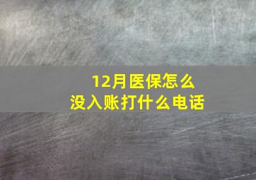 12月医保怎么没入账打什么电话