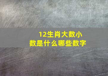 12生肖大数小数是什么哪些数字