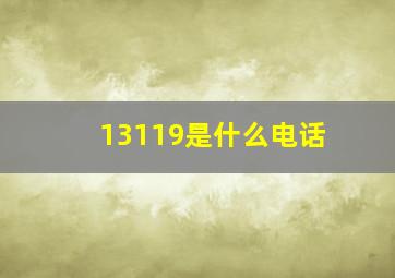 13119是什么电话