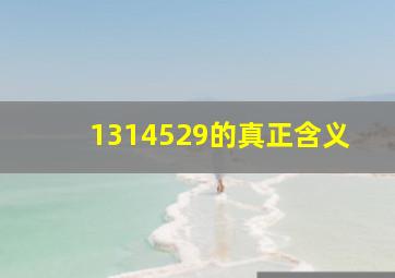 1314529的真正含义