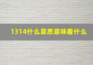 1314什么意思意味着什么