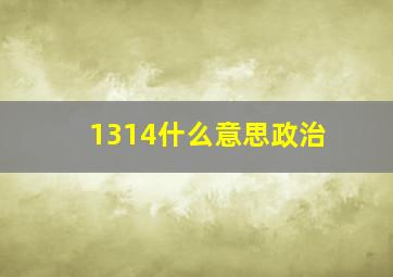 1314什么意思政治