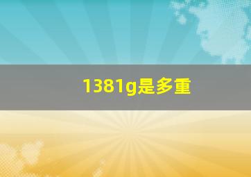 1381g是多重