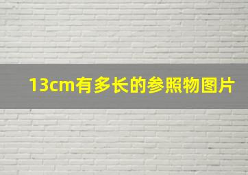 13cm有多长的参照物图片