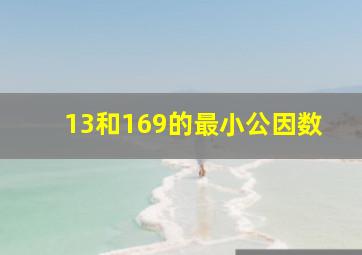 13和169的最小公因数