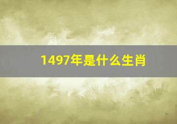 1497年是什么生肖