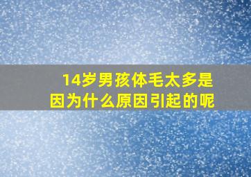 14岁男孩体毛太多是因为什么原因引起的呢