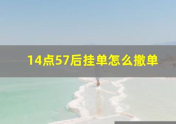 14点57后挂单怎么撤单