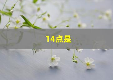 14点是