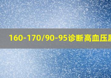 160-170/90-95诊断高血压属于