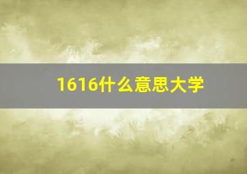 1616什么意思大学