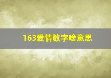 163爱情数字啥意思