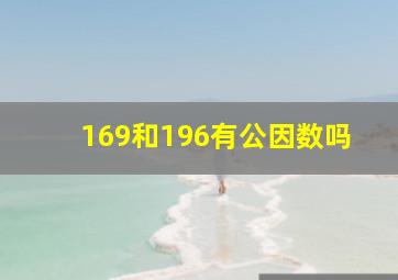 169和196有公因数吗