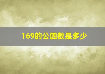 169的公因数是多少