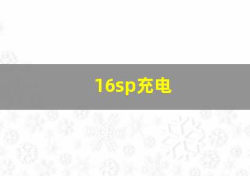 16sp充电