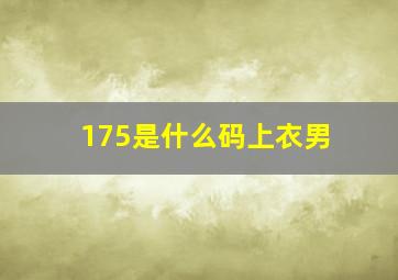 175是什么码上衣男