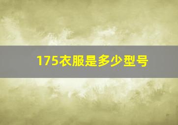 175衣服是多少型号