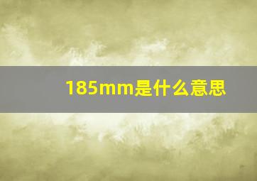 185mm是什么意思