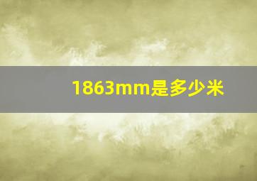 1863mm是多少米