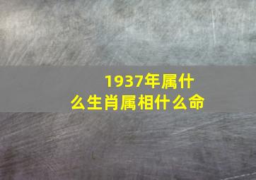 1937年属什么生肖属相什么命