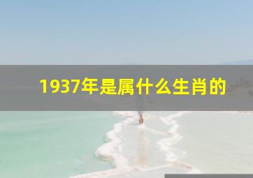 1937年是属什么生肖的