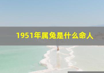 1951年属兔是什么命人