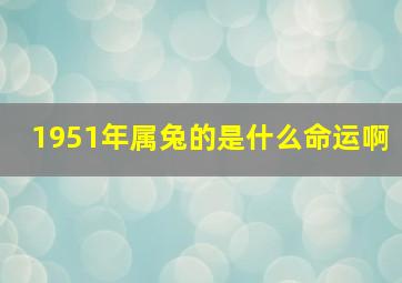 1951年属兔的是什么命运啊