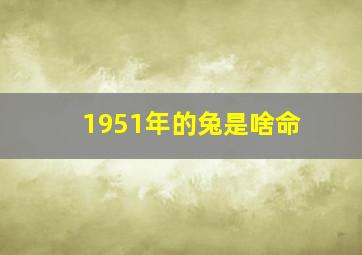 1951年的兔是啥命