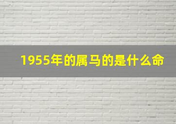 1955年的属马的是什么命