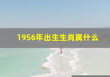 1956年出生生肖属什么