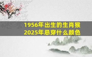 1956年出生的生肖猴2025年忌穿什么颜色