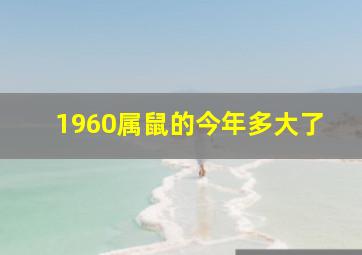 1960属鼠的今年多大了