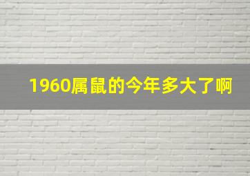 1960属鼠的今年多大了啊