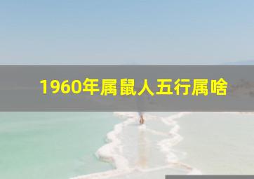 1960年属鼠人五行属啥