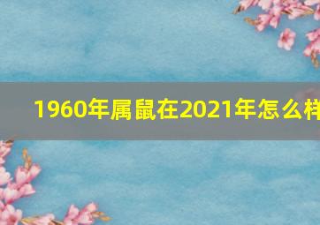 1960年属鼠在2021年怎么样