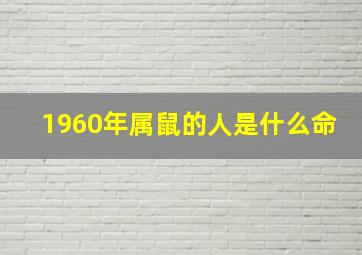 1960年属鼠的人是什么命