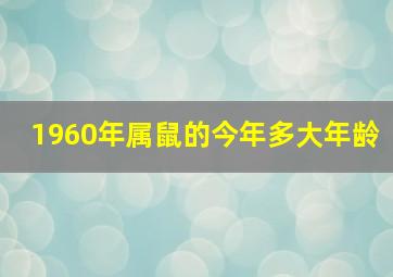 1960年属鼠的今年多大年龄