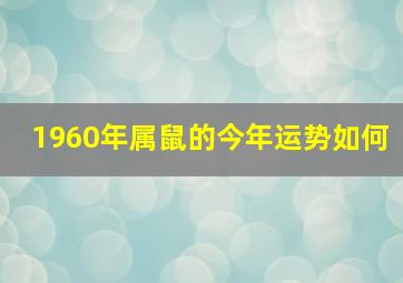 1960年属鼠的今年运势如何