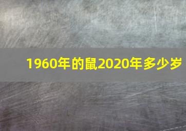 1960年的鼠2020年多少岁