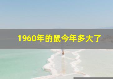 1960年的鼠今年多大了