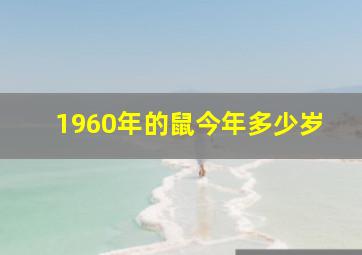 1960年的鼠今年多少岁