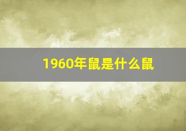 1960年鼠是什么鼠