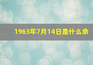 1963年7月14日是什么命