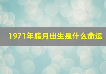 1971年腊月出生是什么命运