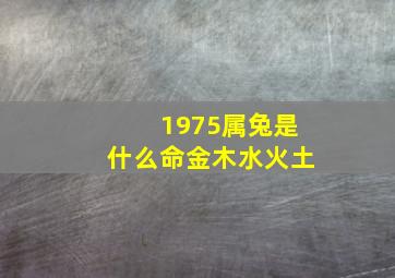 1975属兔是什么命金木水火土