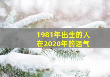 1981年出生的人在2020年的运气